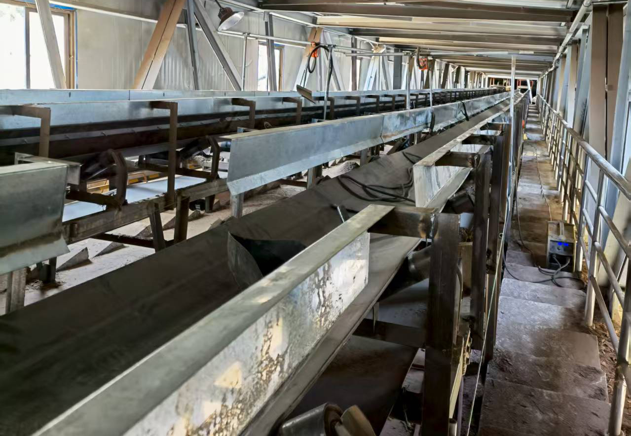 生物質皮帶上料機